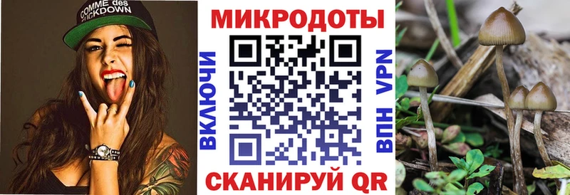 Купить где  Ершов  Псилоцибиновые грибы Magic Shrooms 
